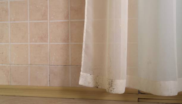 Best Real Estate Mold Inspection  in Elba, AL