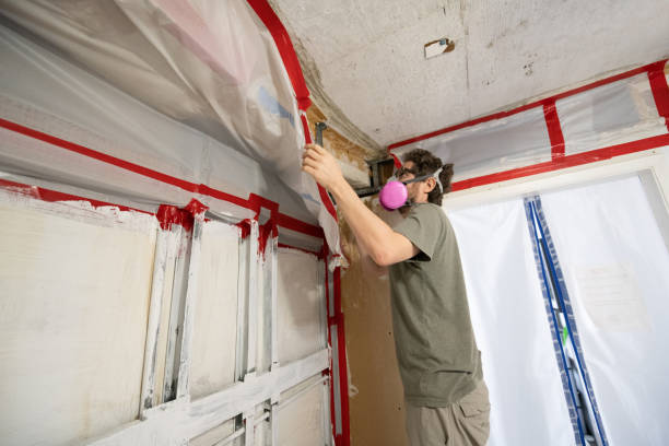 Best Attic Mold Removal  in Elba, AL
