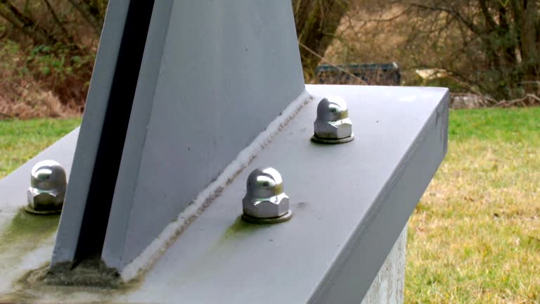 Best Industrial Mold Remediation  in Elba, AL