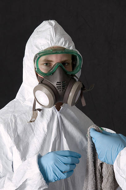 Forensic Mold Investigation in Elba, AL